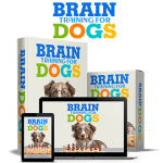 Brain Training For Dogs Review