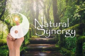 Natural Synergy Review