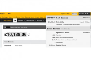 Build My Betting Bank Review