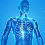 The Bone Density Solution Review