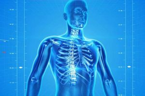 The Bone Density Solution Review