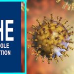 The Shingle Solution Review