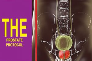 The Prostate Protocol Review